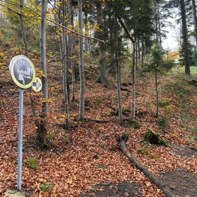 Ljuti Krš - Divčibare - Brvnare Marković