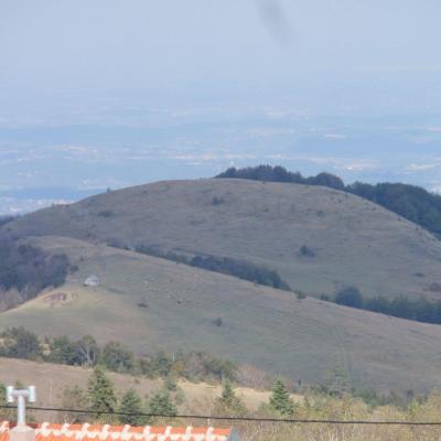 Kraljev sto