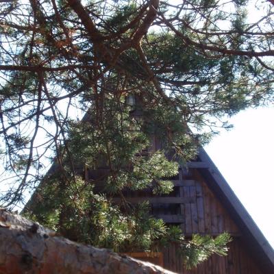 Brvnare Marković - Divćibare - Brvnara 2