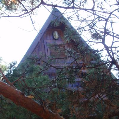 Brvnare Marković - Divćibare - Brvnara 2