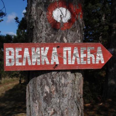 Velika Pleća